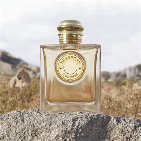 duty free burberry perfume|Burberry goddess eau de parfum.